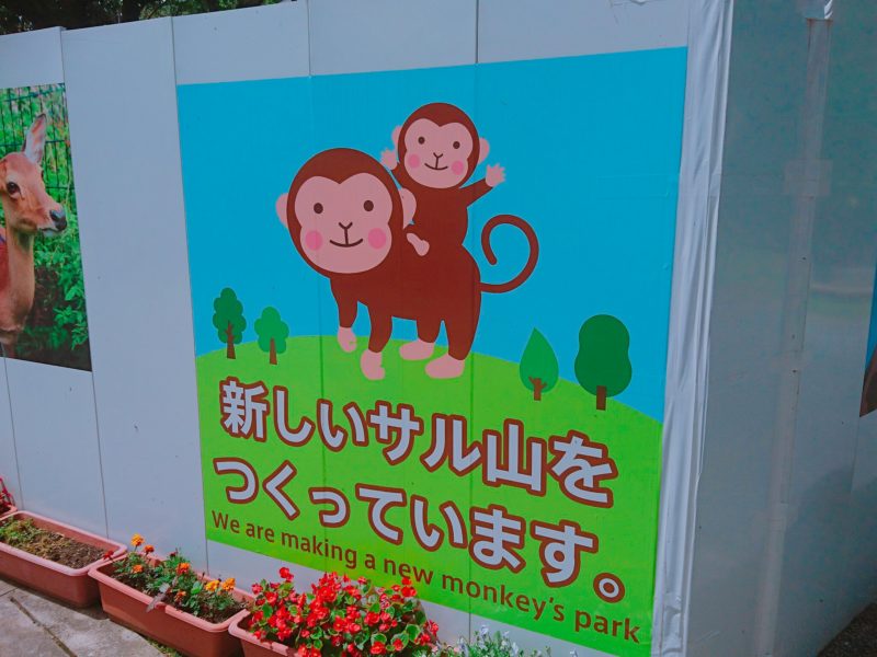 沖縄こどもの国サル山