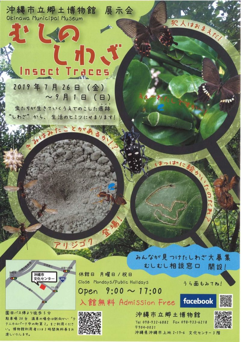 沖縄市立郷土博物館むしのしわざ