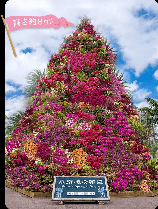 沖縄市東南植物楽園おきなわブーゲンフェア